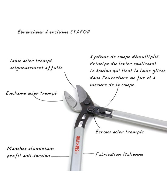 Cisaille ebrancheur STA-FOR | Greensquare