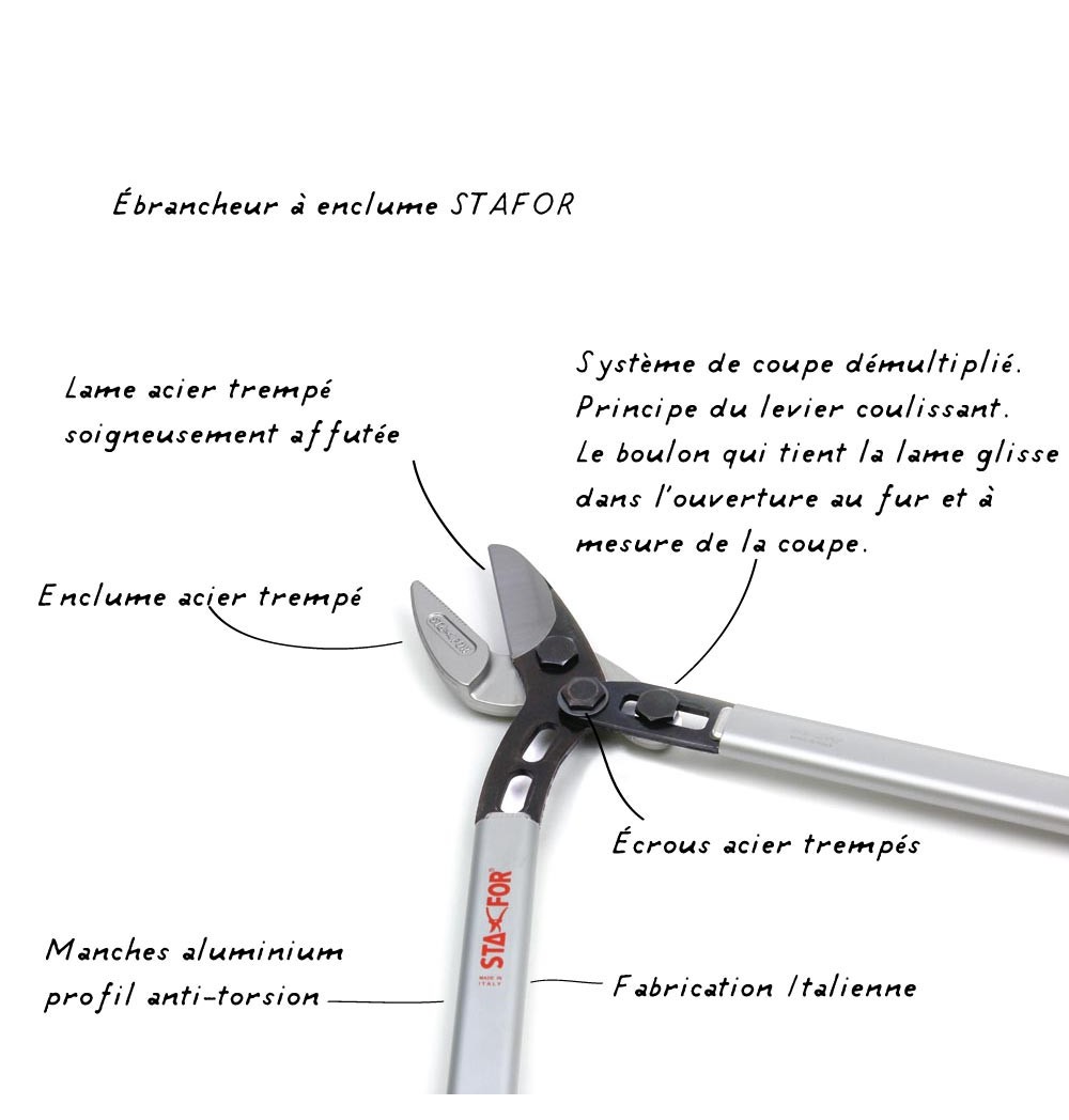 Cisaille ebrancheur STA-FOR | Greensquare