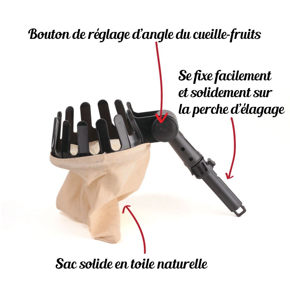 cueille fruit darlac