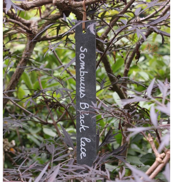 Marque plante en ardoise naturelle longue 20x3cm
