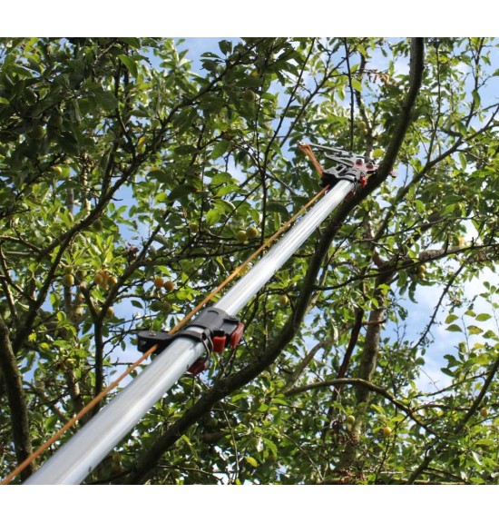 Echenilloir  Greensquare