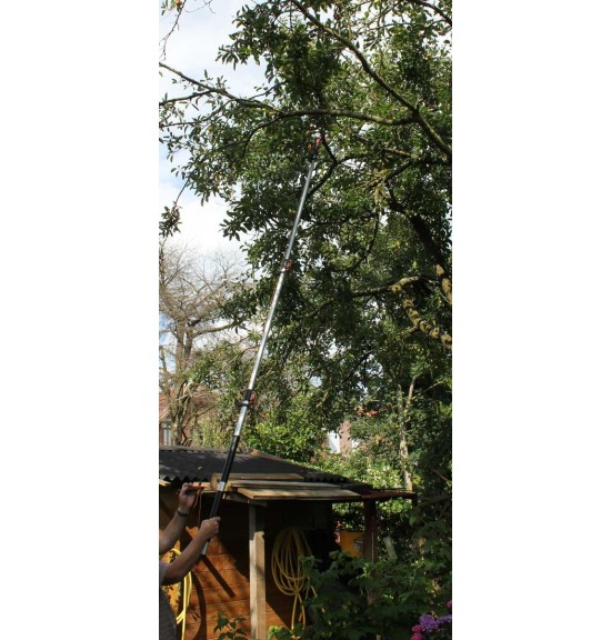 Echenilloir  Greensquare