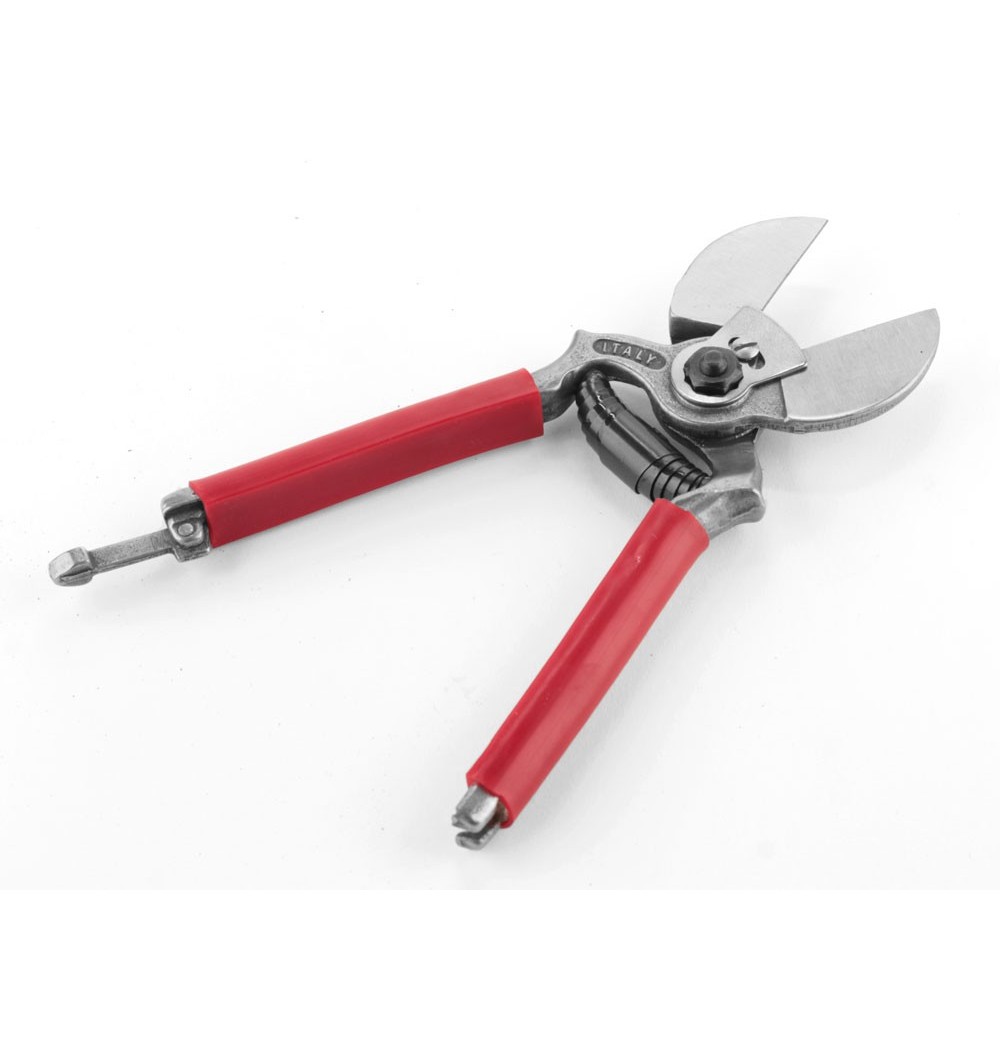 Sécateur 2 lames de Coupe