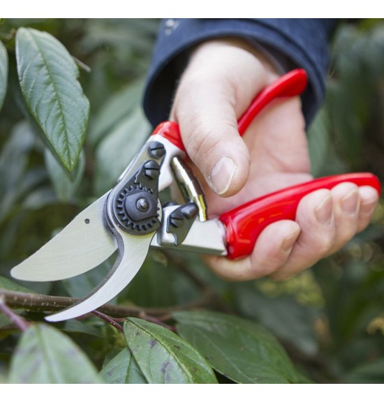 Sécateur poignée tournante lames croisées.