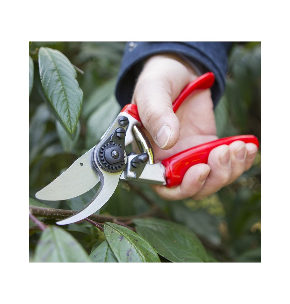 Sécateur poignée tournante lames croisées.