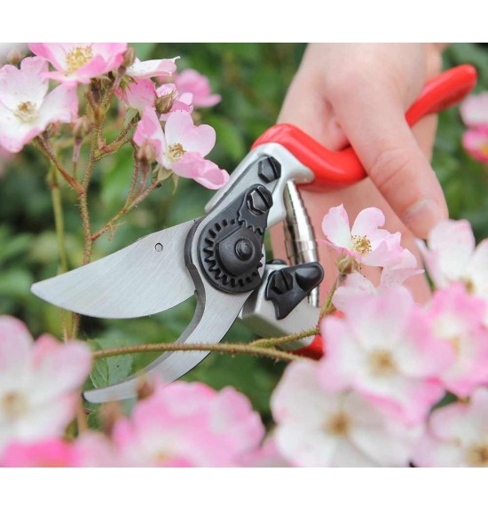 Sécateur expert Darlac