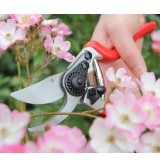 Sécateur expert Darlac