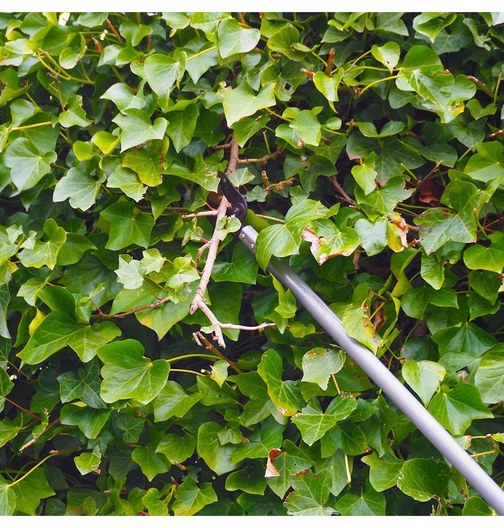 Sécateur longue portée Kent and Stowe