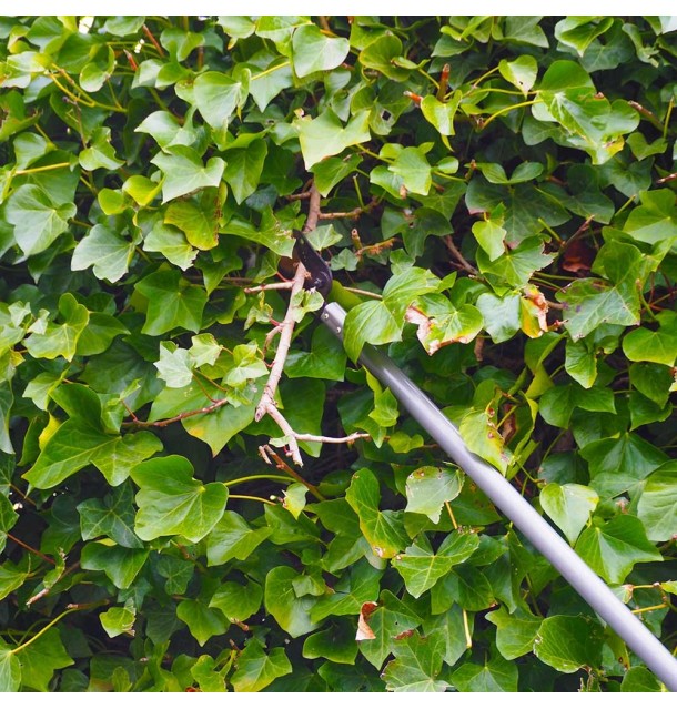 Sécateur longue portée Kent and Stowe