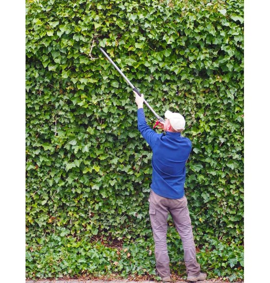 Sécateur longue portée Kent and Stowe