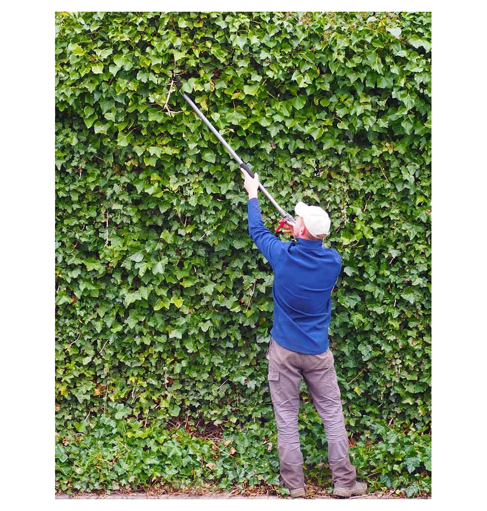 Sécateur longue portée Kent and Stowe