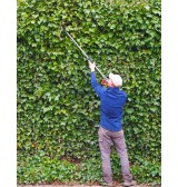 Sécateur longue portée Kent and Stowe