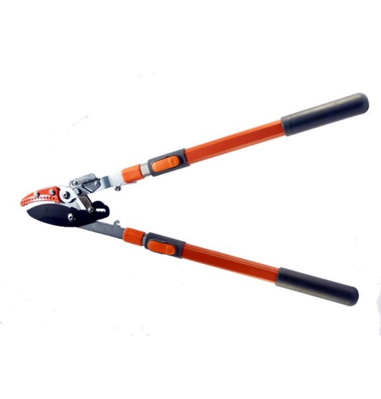 Cisaille puma Accueil Greensquare