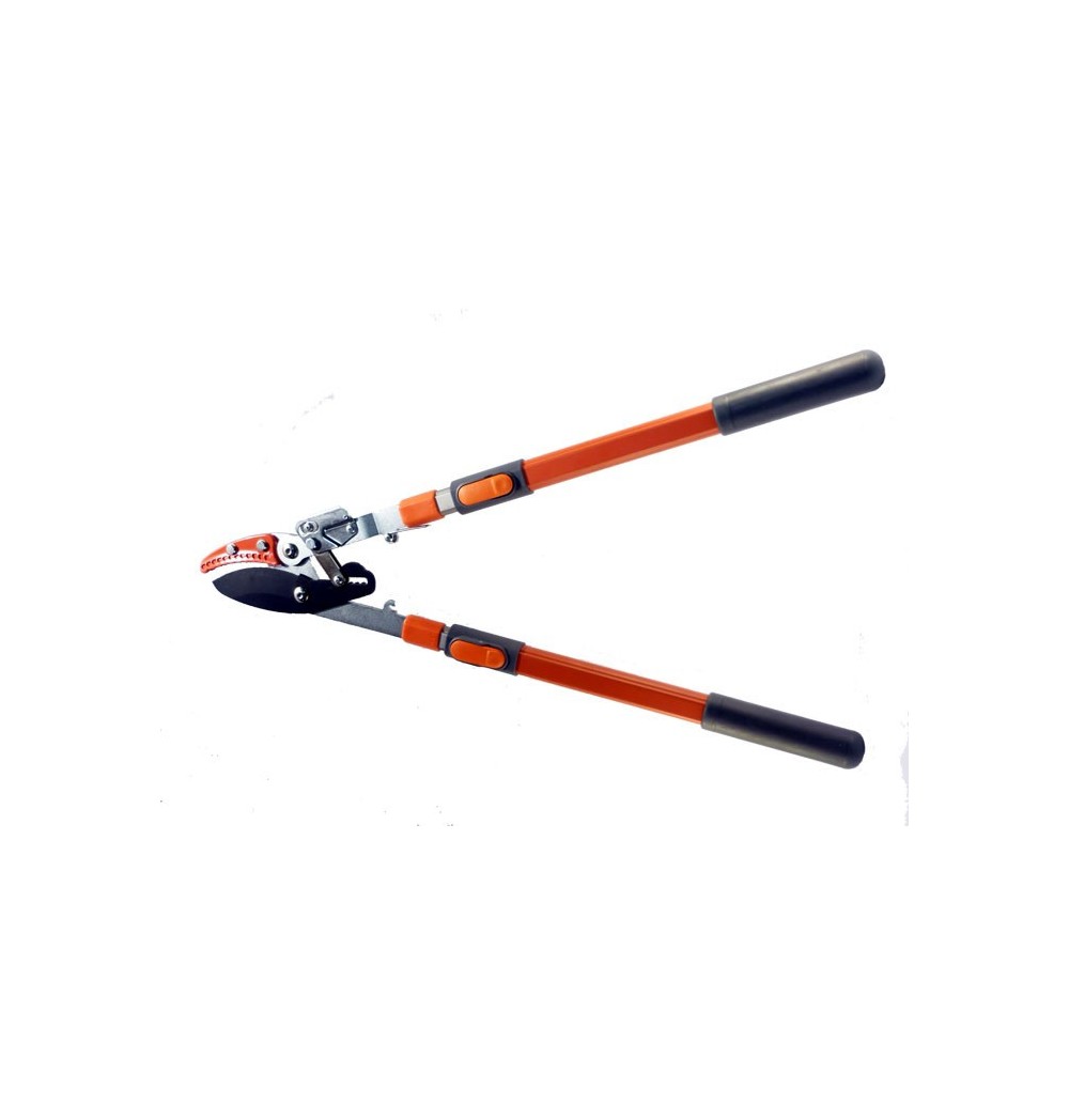 Cisaille puma Accueil Greensquare