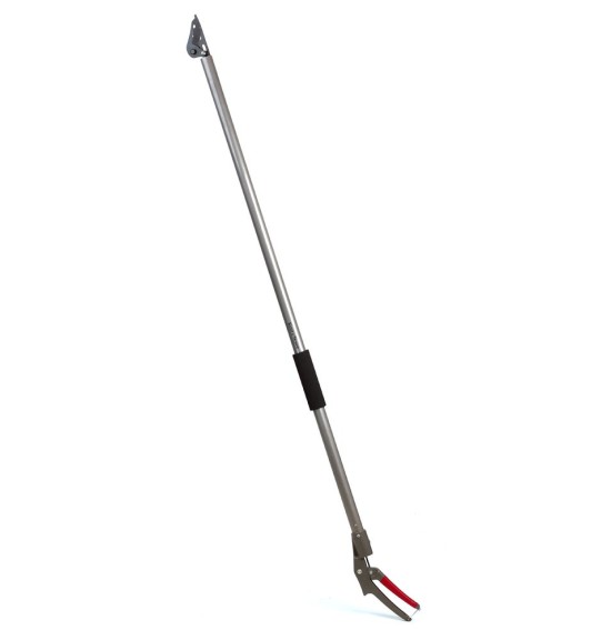 Sécateur longue portée Kent and Stowe