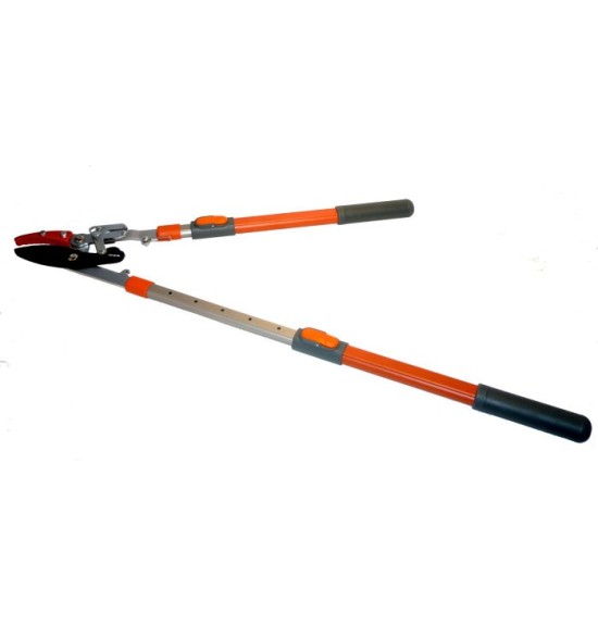 Cisaille puma Accueil Greensquare