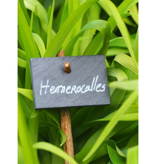 Etiquette ardoise ''British'' 7,5x5cm