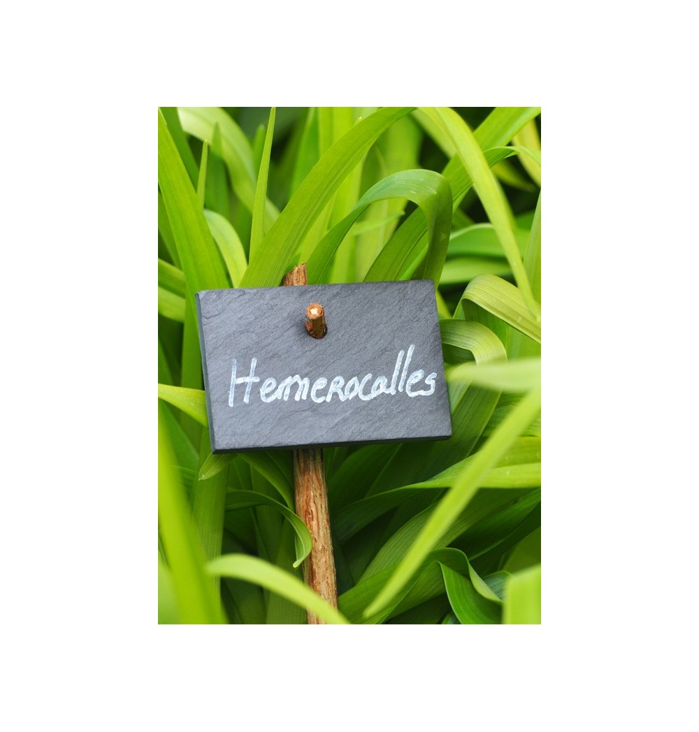 Etiquette ardoise ''British'' 7,5x5cm