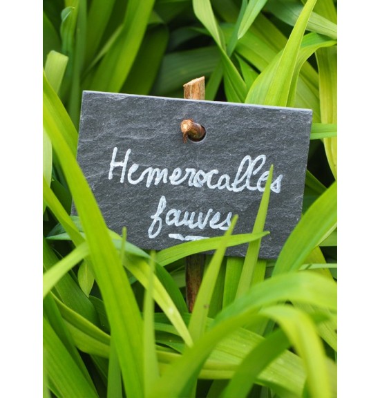 Etiquette ardoise naturelle