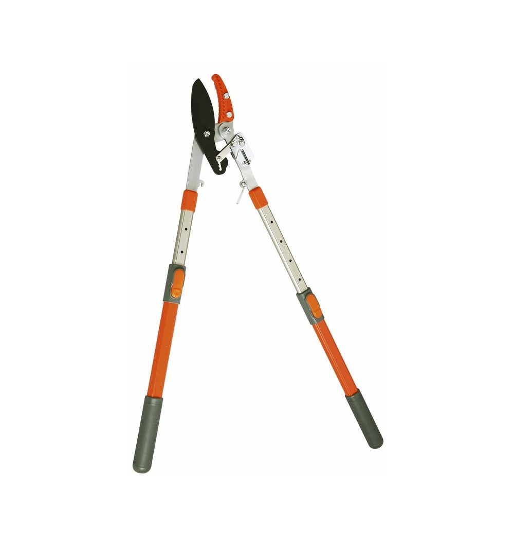 Cisaille puma Accueil Greensquare