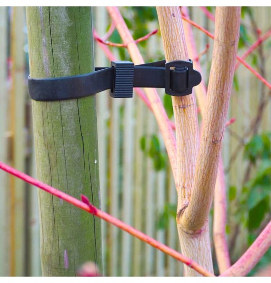 Colliers d'attache horticole