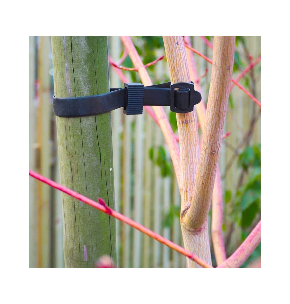 Colliers d'attache horticole