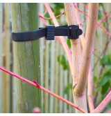 Colliers d'attache horticole