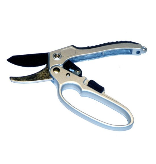 Secateur cremaillere lames croisees Accueil Greensquare