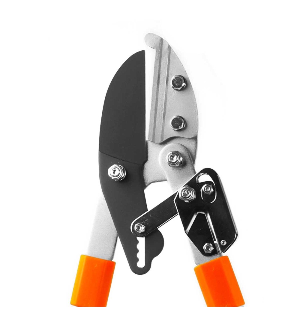 tête de coupe sur coupe branche à crémaillère