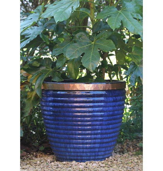 Ruban cuivre anti-limaces naturel