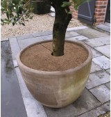 Disques de paillage naturel 40 cm (lot de 3)