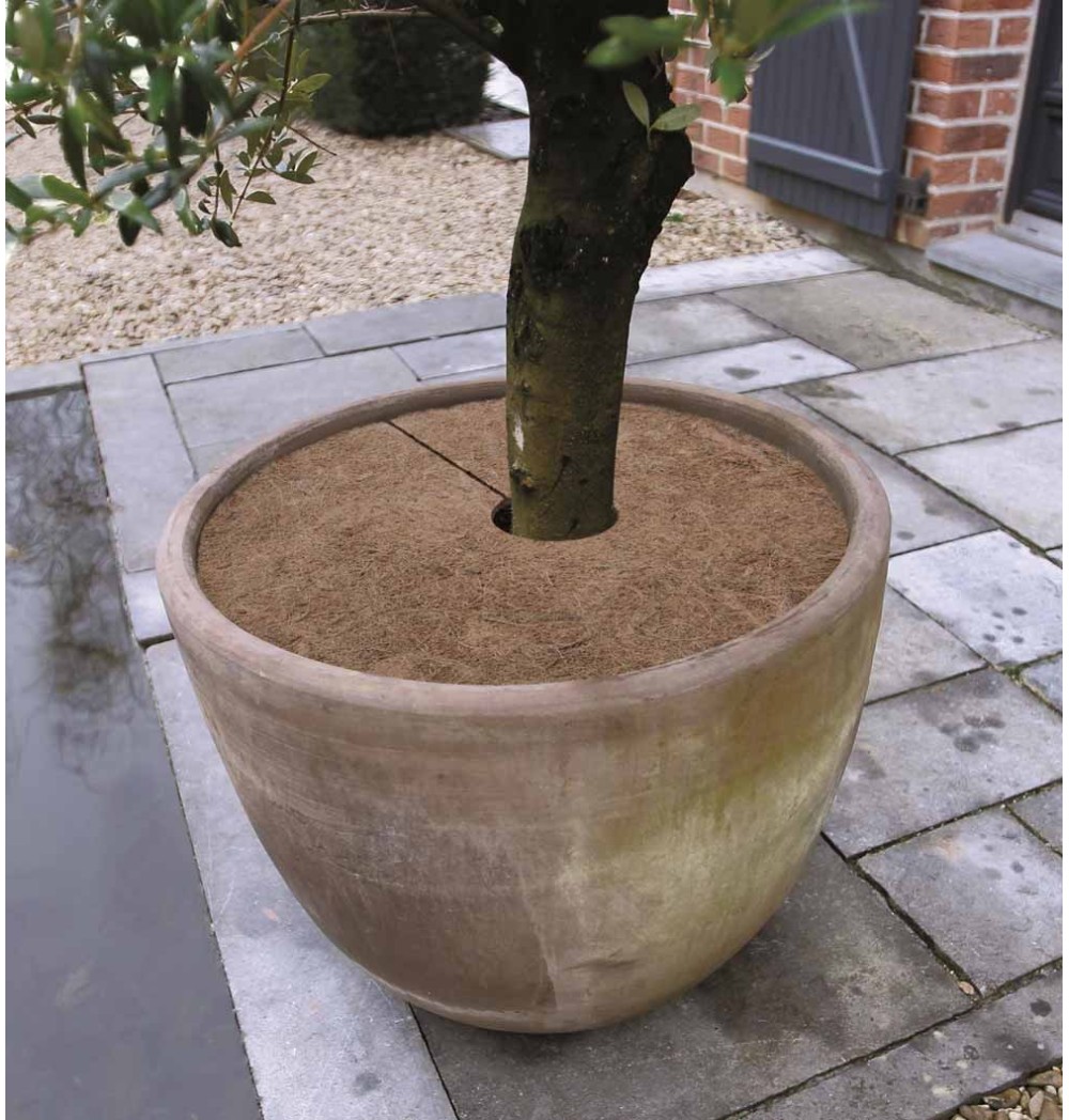 Disques de paillage naturel 30 cm (lot de 3)