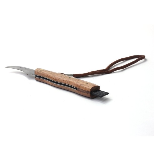 Couteau champignon brosse