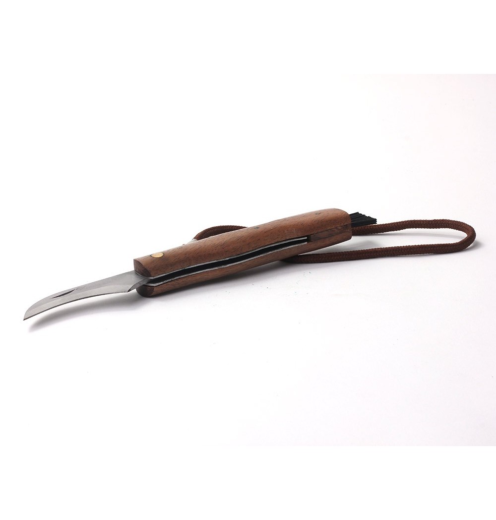 Couteau champignon brosse
