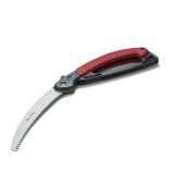 Grande scie arboricole