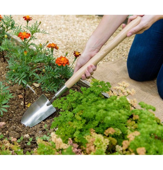 Transplantoir Pelle sur long manche