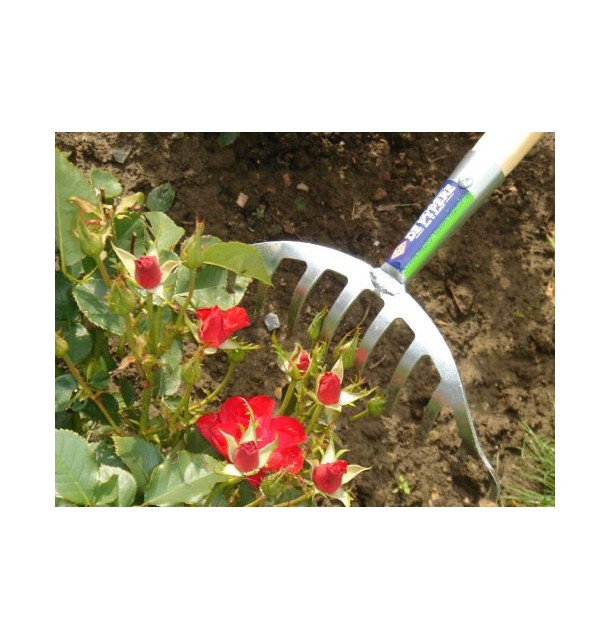 Râteau à rosiers