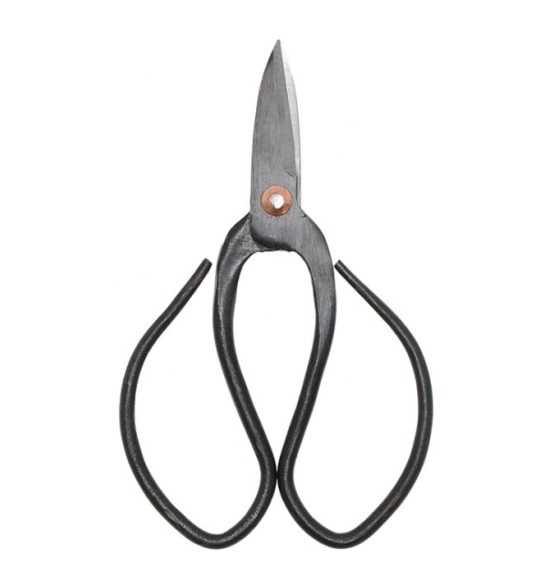 Ciseaux bonsais