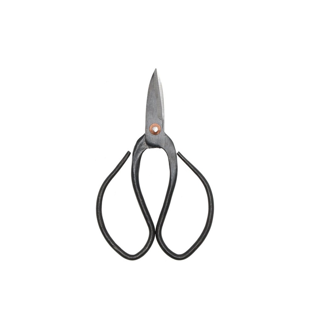 Ciseaux bonsais