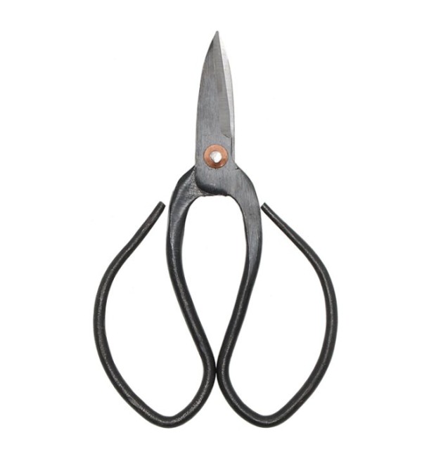 Ciseaux bonsais