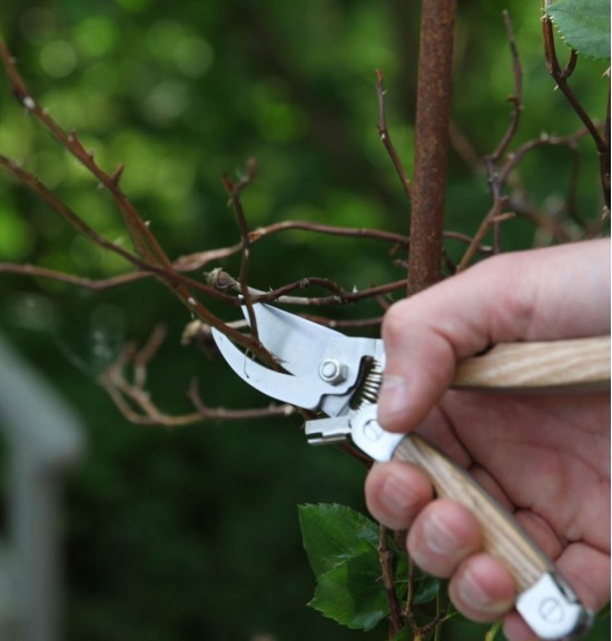 Sécateur multi-fonctions