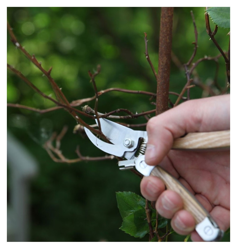 Sécateur multi-fonctions