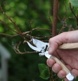 Sécateur multi-fonctions