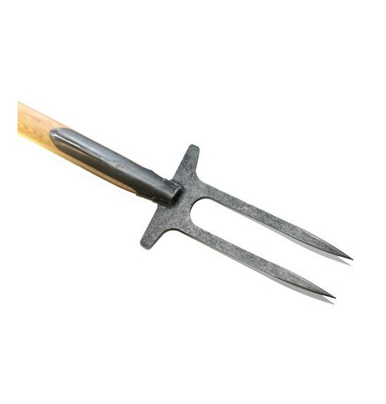 Fourche à 2 dents