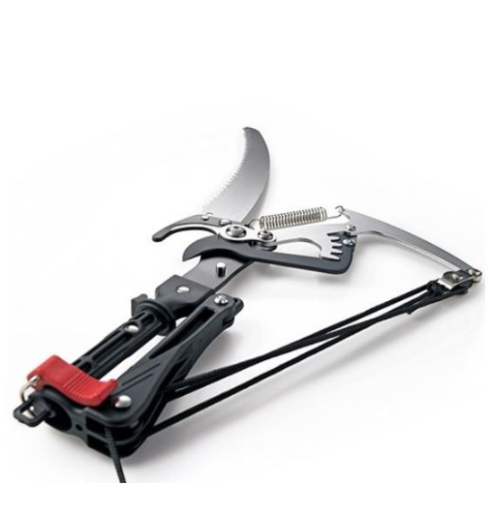 Echenilloir  Greensquare