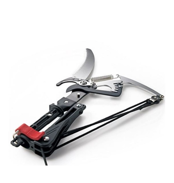 Echenilloir  Greensquare