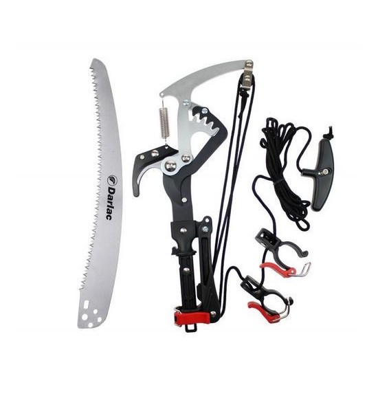 Echenilloir  Greensquare