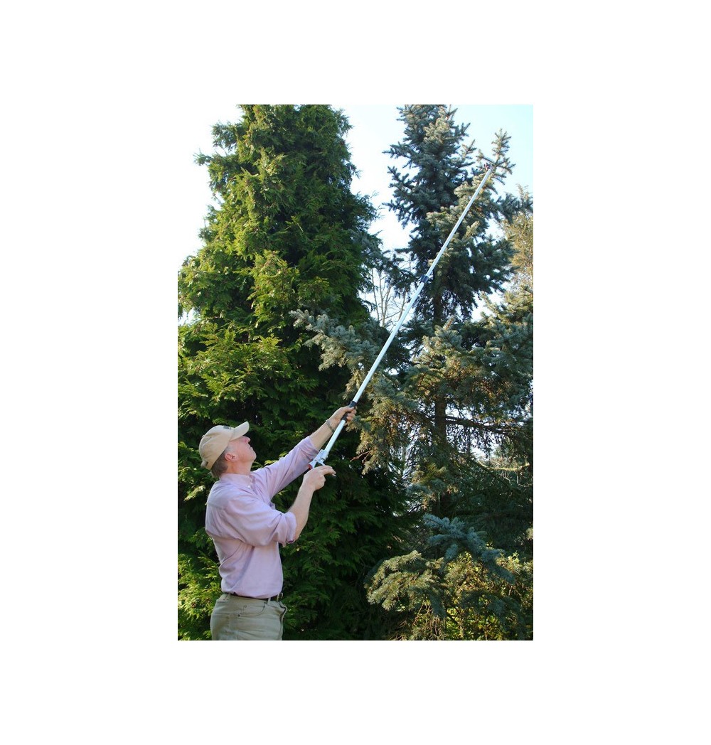 Sécateur sur perche Accueil Greensquare