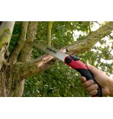 scie jardinage darlac