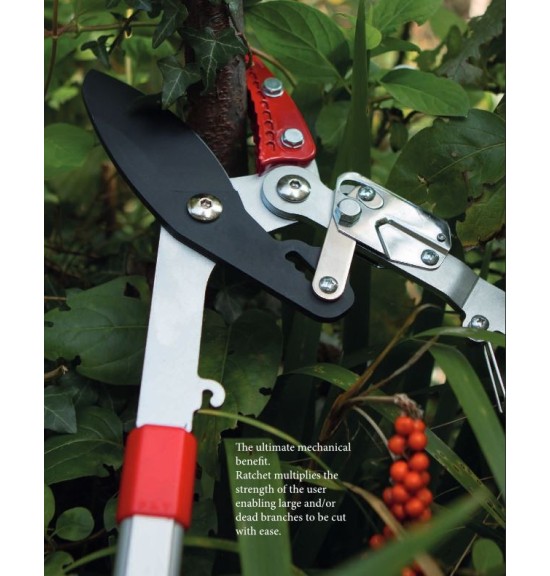 Cisaille JUMBO DARLAC